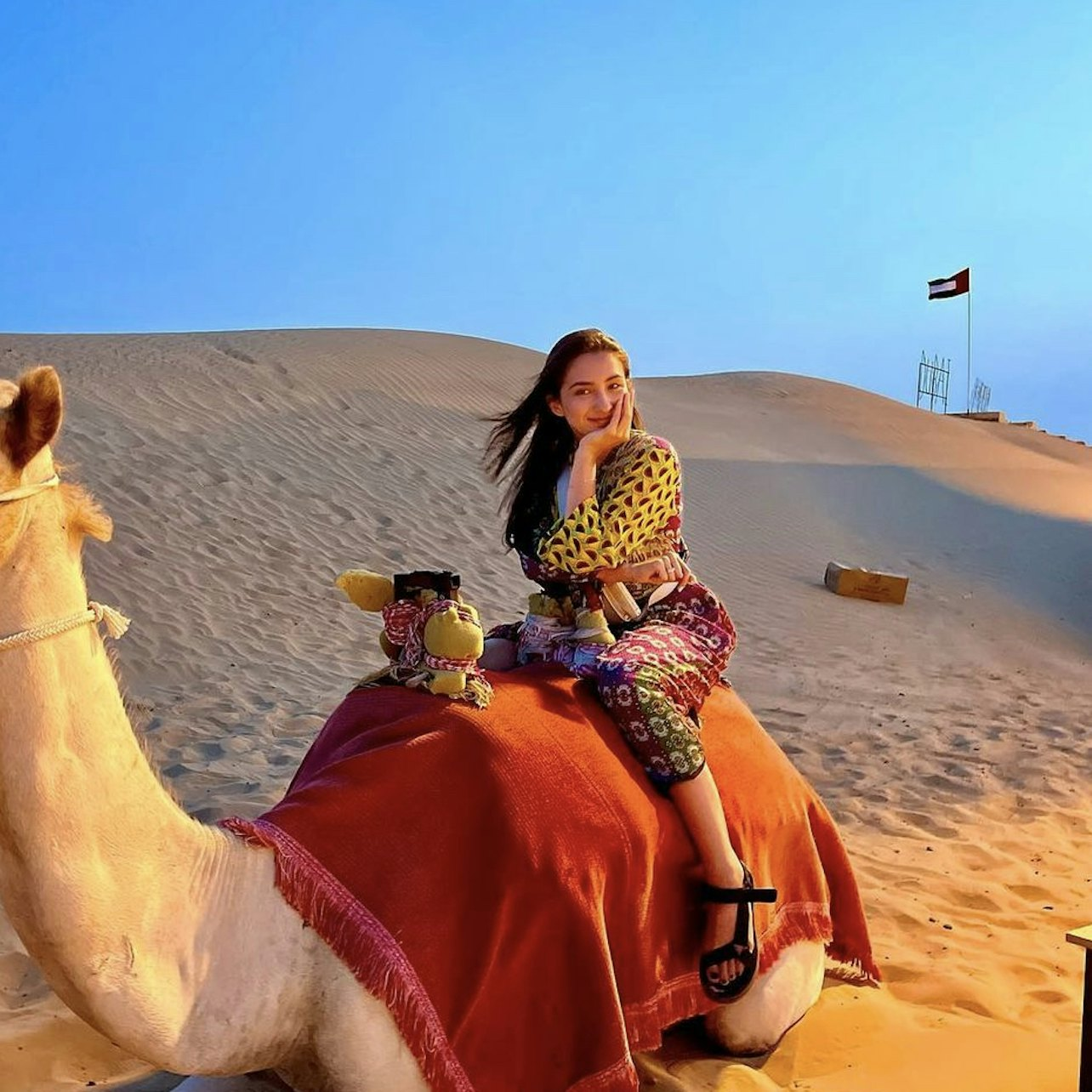 Dubai: Sunset Desert Safari, Dune Bashing & Sandboarding + BBQ Dinner - Photo 1 of 25